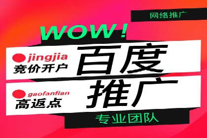 SEM广告创意与执行：成功案例分享